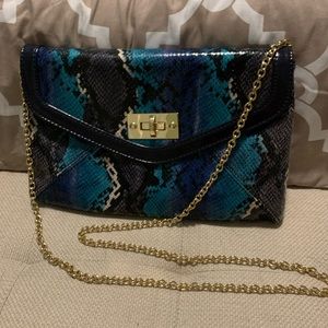 Aldo Clutch/Shoulder bag (NWOT)